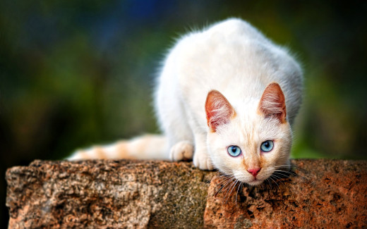 1754876 (a): :1920x1200